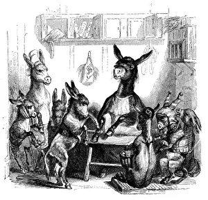 Humanized animals illustrations: Donkeys