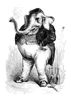 Humanized animals illustrations: Elephant
