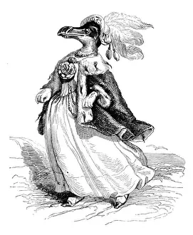 Humanized animals illustrations: Female penguin
