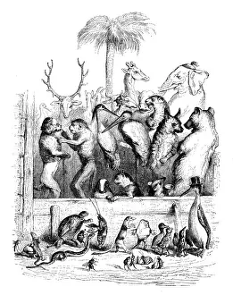 Humanized animals illustrations: Group