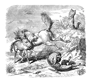 Kaulbach Prints: Humanized animals illustrations: Horse hitting fox