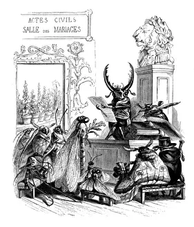 Humanized animals illustrations: Insects wedding