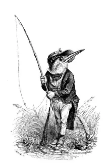 Humanized animals illustrations: kingfisher