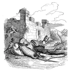 Humanized animals illustrations: Lizard relaxing