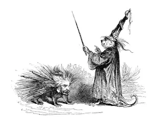 Humanized animals illustrations: Monkey wizard and porcupine