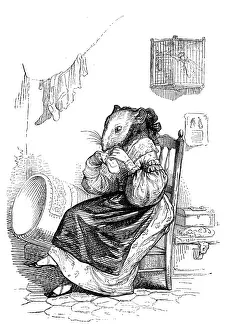 Humanized animals illustrations: Mouse