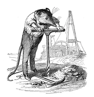 Humanized animals illustrations: Mouse boring