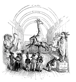 Humanized animals illustrations: Museum