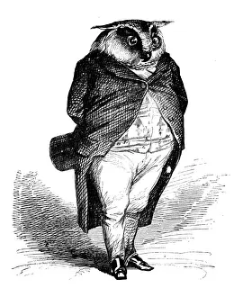 Humanized animals illustrations: Owl