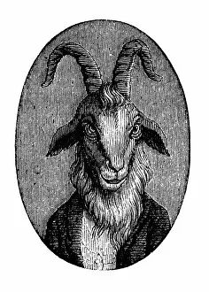 Images Dated 3rd January 2017: Humanized animals illustrations: Portrait of goat