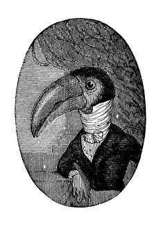 Humanized animals illustrations: Portrait of toucan