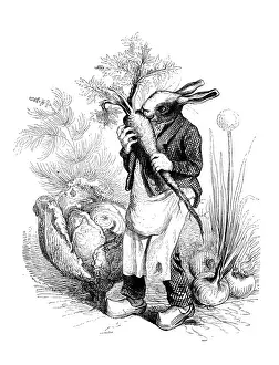 Humanized animals illustrations: Rabbit with vegetables