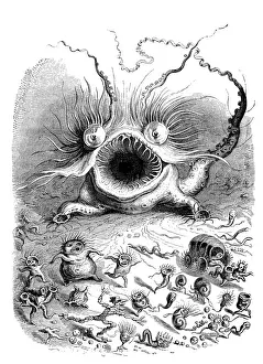 Humanized animals illustrations: Scary monster