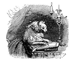 Humanized animals illustrations: Writing