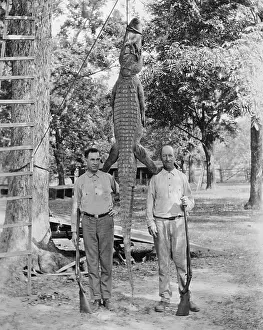 Mississippi Prints: Hunters Posing with Large Alligator