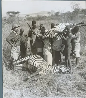Zebra Prints: Hunters with Slain Zebra