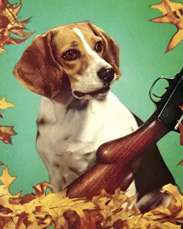 Hunting Dog and Gun