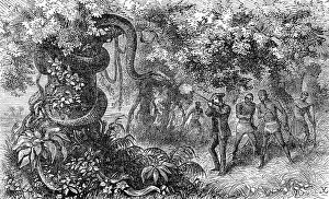 Hunting a strangler snake, white hunter with rifle shoots the animal, 1869, Botswana, Historic, digitally restored reproduction of an original 19th century painting, exact original date not known