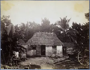 Bahamas Prints: A Hut in the Bahamas/19th Century