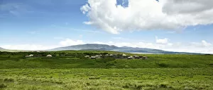 Huts, village of the Maasai, Boma, Ngorongoro Conservation Area, Tanzania, Africa