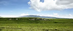 Residential Area Prints: Huts, village of the Msai, Boma, Ngorongoro Conservation Area, Tanzania, Africa