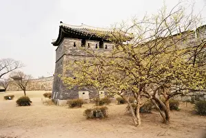 Hwaseong Fortress, UNESCO World Heritage, Suwon Korea