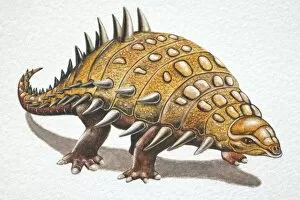 Images Dated 16th March 2006: Hylaeosaurus, side view