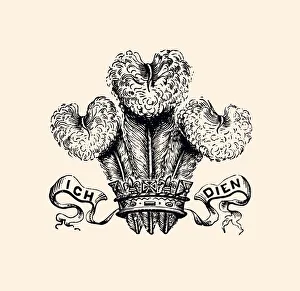 Images Dated 11th October 2018: I DIEN (XXXL)