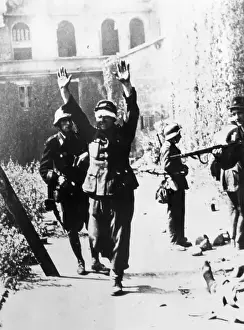 Resistance Movement Prints: I Surrender