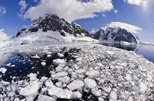 Ice chunks floating on surface of water
