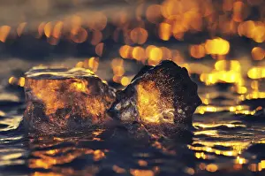 Wintery Prints: Ice on the Cospudener See lake in sunlight, Leipzig, Saxony, Germany, Europe