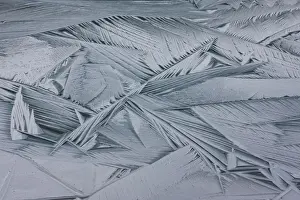 Icicle Prints: Ice crystals, Japser National Park, Alberta, Canada