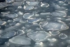 Images Dated 11th February 2010: Ice floes in winter