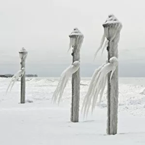 Images Dated 5th March 2010: Ice men cometh