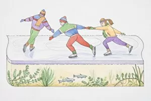 Pond Gallery: Three ice-skaters on frozen pond or lake, cross section showing underwater flora and fauna below