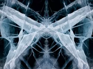 Images Dated 18th March 2012: Ice web