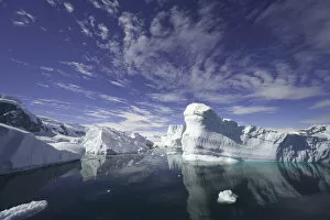 Images Dated 7th February 2007: Icebergs, Collins Bay, Antarctic Peninsula