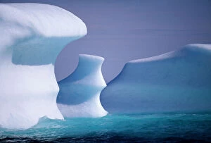 Iceberg Ice Formation Gallery: Icebergs are floating South in Labrador current, Northern Labrador