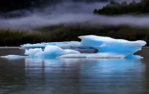 Coastal City Prints: Icebergs having broken away from the Mendenhall glacier are floating toward the sea