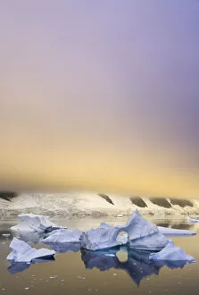 Climate Change Gallery: icebergs, sunset, Antarctic Peninsula