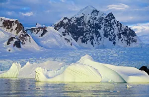 Cold Temperature Collection: Icebergs, Wiggins Glacier, Antarctica