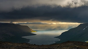 Images Dated 16th June 2014: Iceland West Fjords