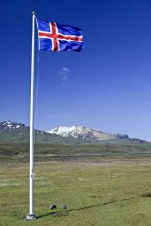 Icelandic national flag blowing in the wind on a meadow, Borsmoerk, Iceland, Europe