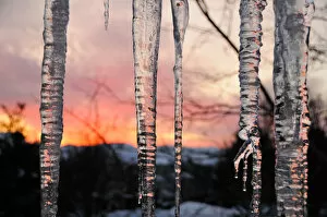 Matthew Carroll Photography Collection: Icicles