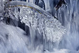 Images Dated 16th December 2007: Icicles at a creek, Sauerland, North Rhine-Westphalia, Germany