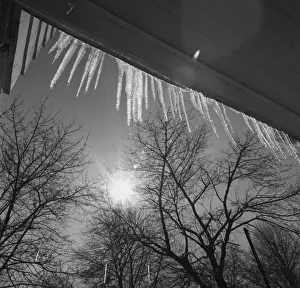 Icicle Prints: Icicles on roof an sun