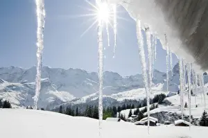 Icicle Prints: Icicles, winter landscape, Muerren, Switzerland, Europe