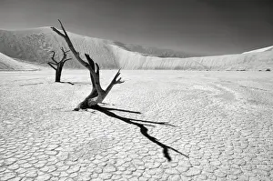 Namibia Prints: The iconic dead acacia trees of Deadvlei in Namibia photographed in Infrared