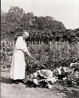 Connecticut Prints: Ida M. Tarbell Working in Garden