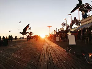 Images Dated 11th October 2015: Idyllic sunset with flying birds at Coney Island, Brooklyn, New York City, USA